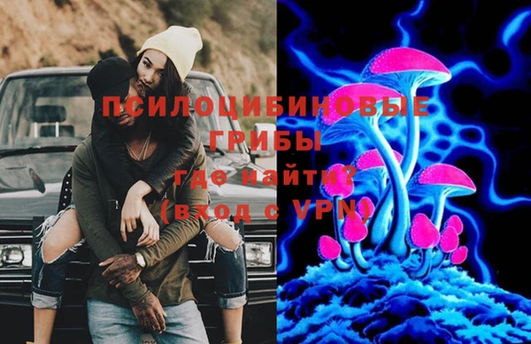 стафф Бронницы