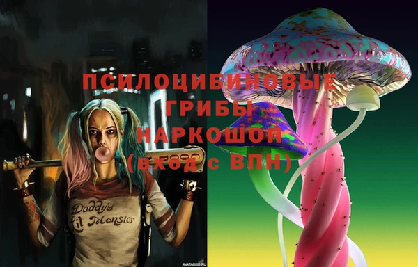 экстази Бородино
