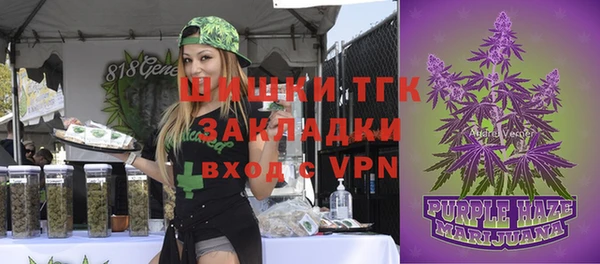 молекула духа Бугульма