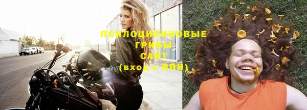 стафф Бронницы