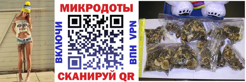 Купить где  Славянск-на-Кубани  Галлюциногенные грибы Psilocybine cubensis 
